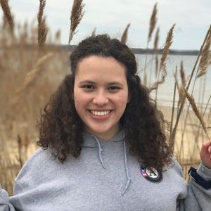 Meet your Posher, Flor de lis